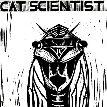 Cicada by Cat Scientist - album cover