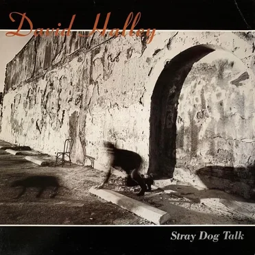 Stray Dog Talk by David Halley - album cover