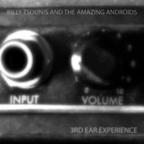 Input Volume
