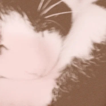 öäëöüïäüö by ::::::::::::::::::: - album cover