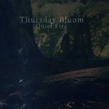 Quiet Fire by Thursday Bloom - album cover