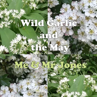 Wild Garlic and the May by Me and Mr Jones - album cover