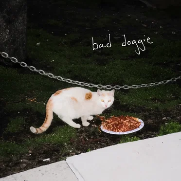 Bad Doggie by Wes Parker - album cover