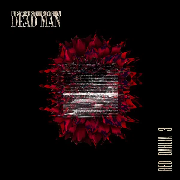 Red Dahlia 3