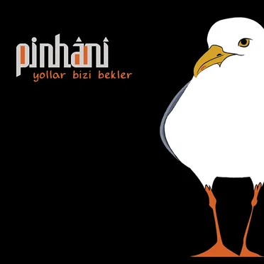 Yollar Bizi Bekler by Pinhani - album cover