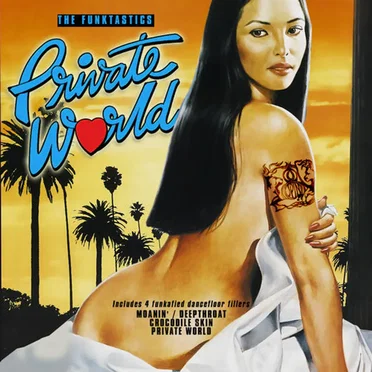 Private World EP by The Funktastics - album cover