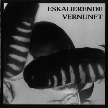 Eskalierende Vernunft