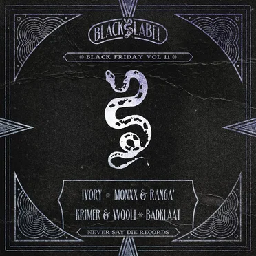 Black Friday, Vol. 11 by Various Artists - album cover