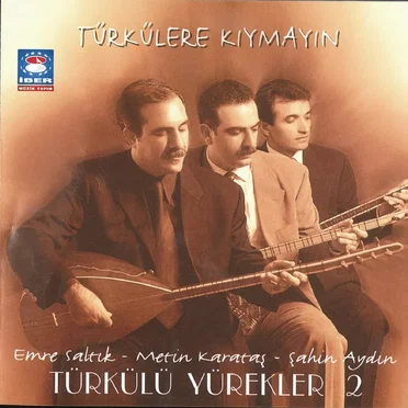 Türkülü Yürekler 2 by Various Artists - album cover