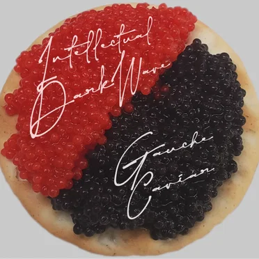 Gauche Caviar by Intellectual Dark Wave - album cover