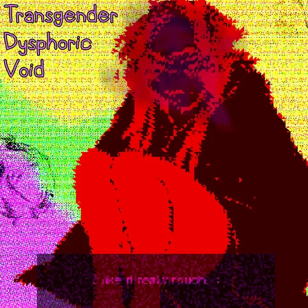 Transgender Dysphoric Void