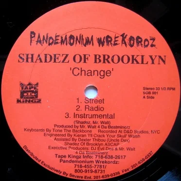 Change / When It Rains It Pours (Survival Warz!) by Shadez of Brooklyn - album cover