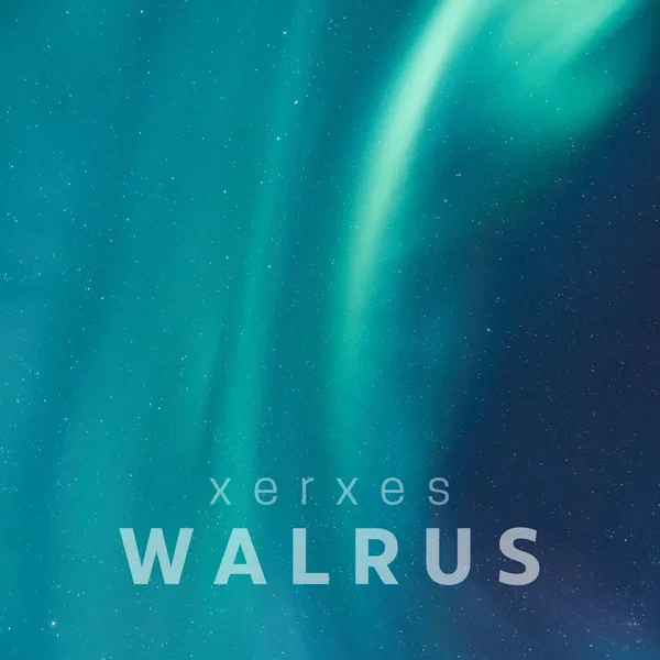 Walrus