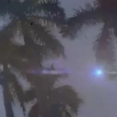 palmvibe EP