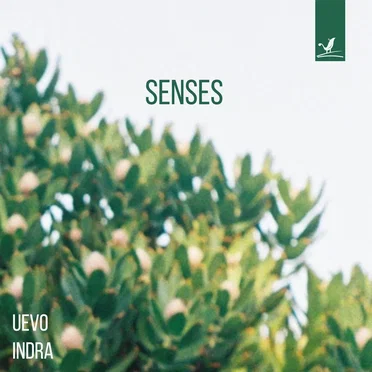 Senses