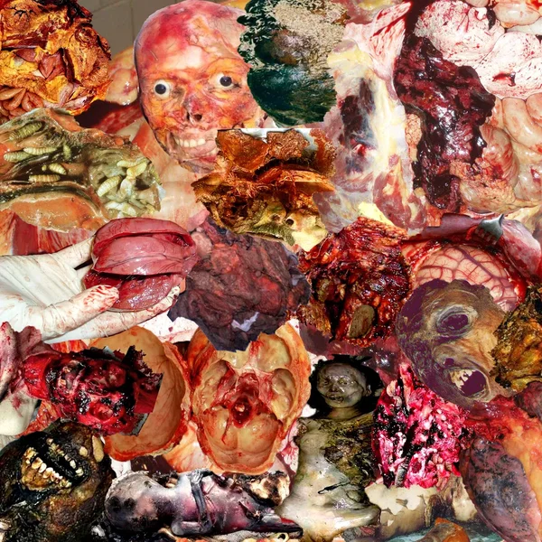 Ezekiel Asks for Anal Ujamaa Decomposition Guts Chaotic Lovemachine Bn Sxdx420 Gorebones Corpseincinerating Furmace – Untitled [7-Way Split]