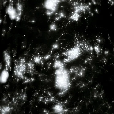 The Origin of Negation