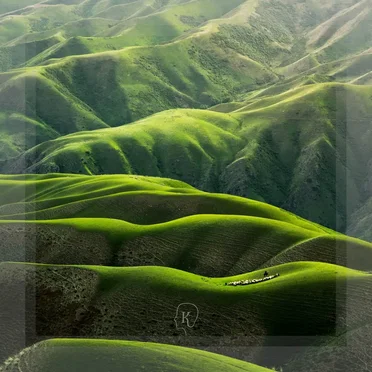 Landscapes