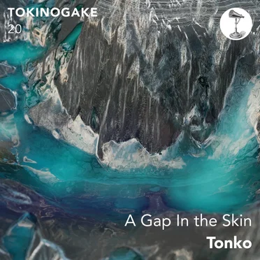 A Gap In the Skin by Tonko - album cover