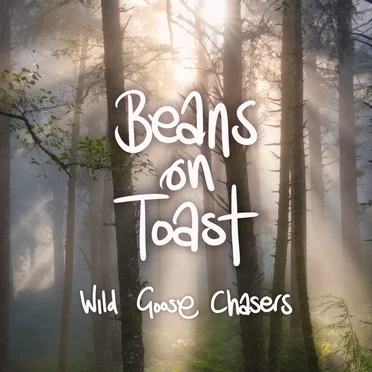 Wild Goose Chasers by Beans on Toast - album cover