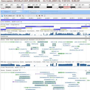 Sonification of Human Genome Assembly [GRCh38]