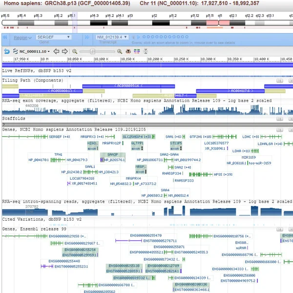 Sonification of Human Genome Assembly [GRCh38]