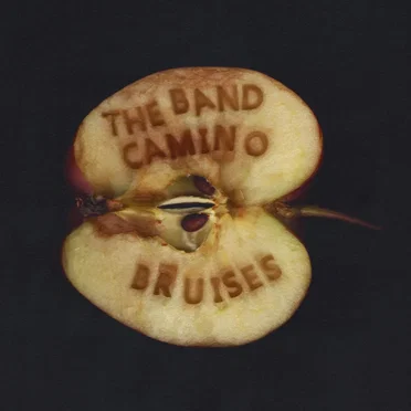 Bruises by The Band CAMINO - album cover
