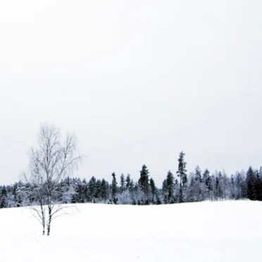 First Day of Winter