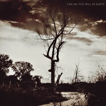 Like Me, You Will Be Empty by BLIGHT - album cover