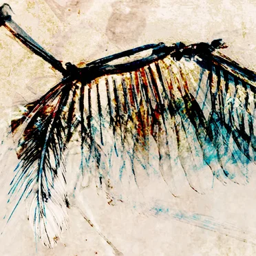 The Feathers of Oblivion IV: Winter