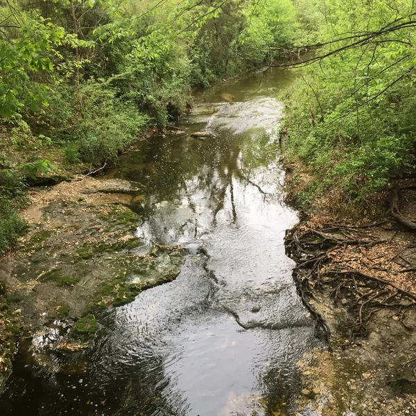 In This Balance of Tunes