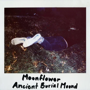 Ancient Burial Mound by Moonflower - album cover