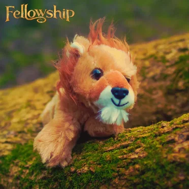 Fellowship