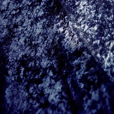 Insides