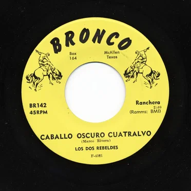 Caballo oscuro cuatralbo / Gaviota que andas haciendo