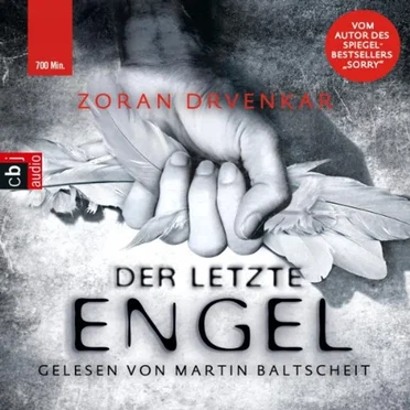 Der letzte Engel by Zoran Drvenkar - album cover