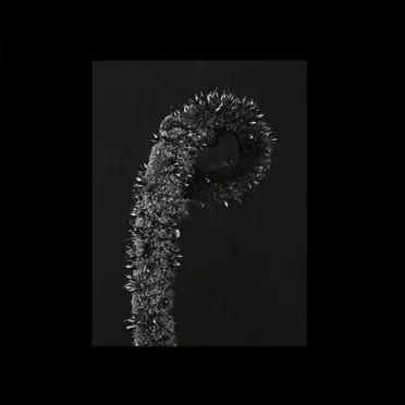 Intention Versus by Death Qualia - album cover