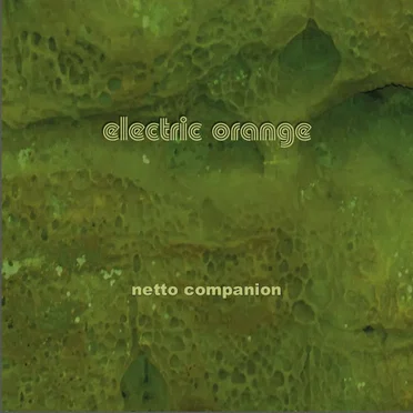 Netto Companion by Electric Orange - album cover