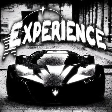 EXPERIENCE