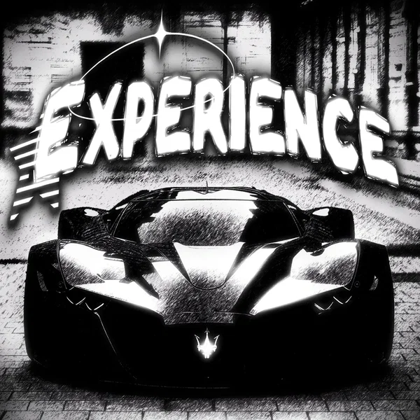 EXPERIENCE