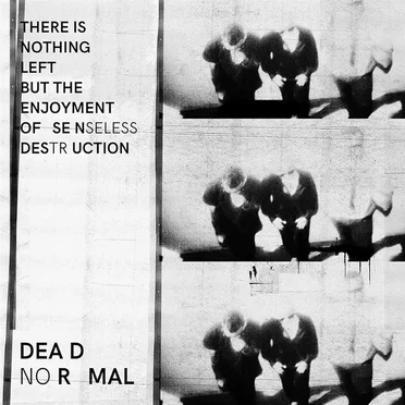There is Nothing Left but the Enjoyment of Senseless Destruction by Dead Normal - album cover