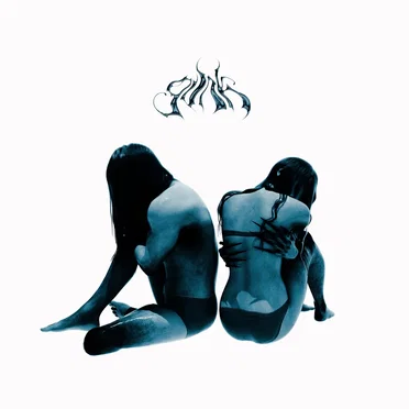 Gunk by Darling Gails - album cover