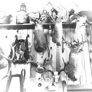 Careful I Think It’s Loaded