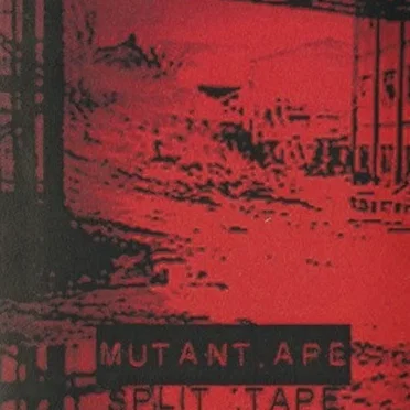 Split Tape