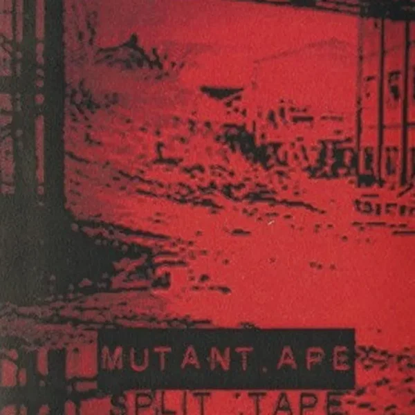 Split Tape