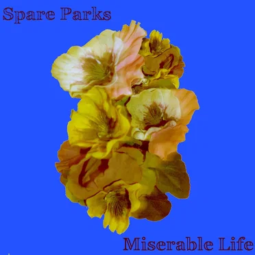 Miserable Life EP by Spare Parks - album cover