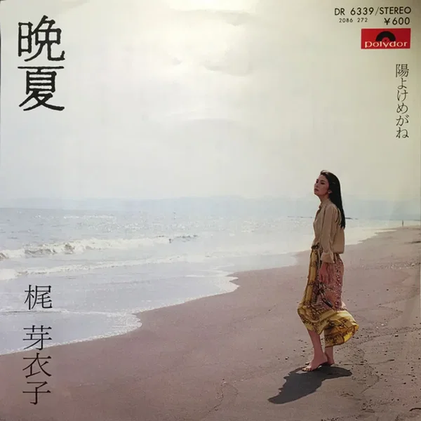 晩夏／陽よけめがね