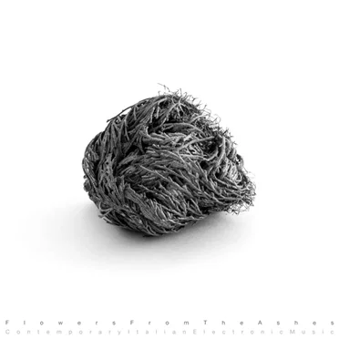 Flowers From the Ashes: Contemporary Italian Electronic Music by Various Artists - album cover