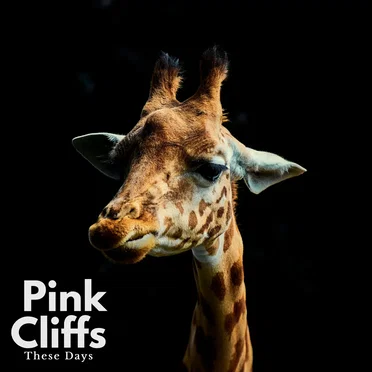 These Days by Pink Cliffs - album cover