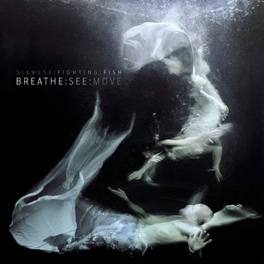 Breathe:See:Move